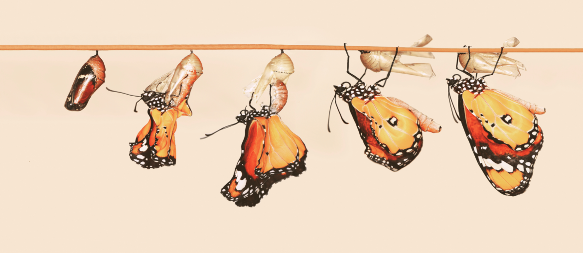 10 Strong Reasons to Trust The Process