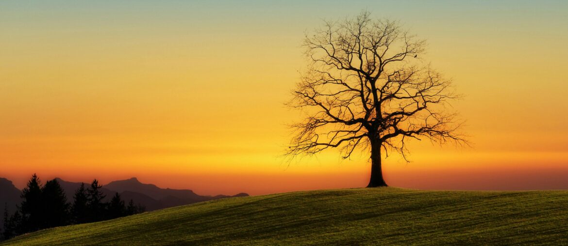 6 Concepts To Adjust to New Seasons of Life