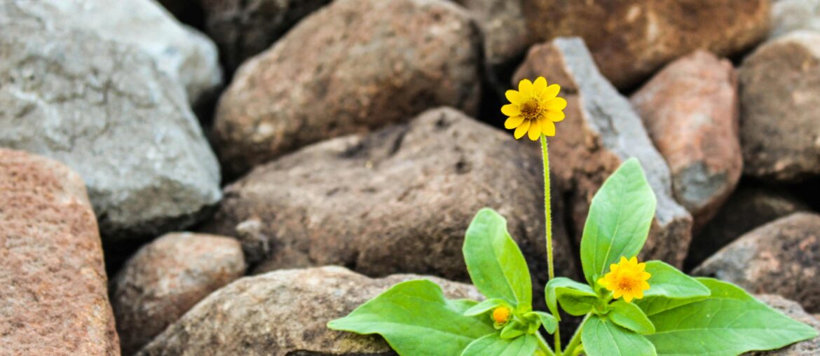 21 “Life is too short Quotes” to Live Your Life Better life is too short