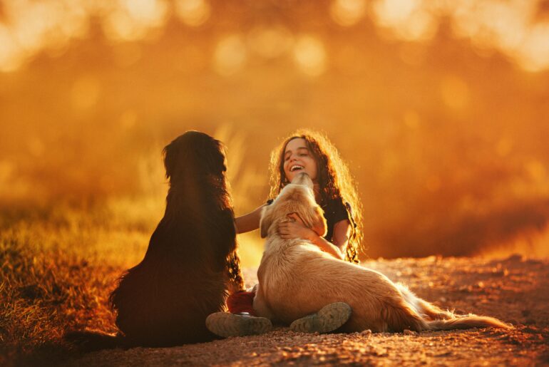 Why is Playfulness an Essential Concept of Life?