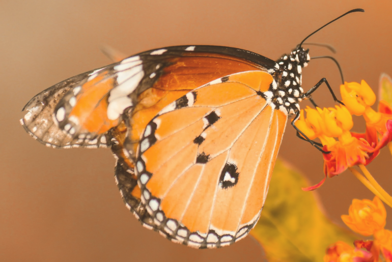 Seasons of life: personal growth through spring, summer, autumn, winter